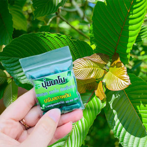 ปุ๋ยนาโน เร่งโต 5 แคปซูล ฮอร์โมน เร่งดอก บำรุงใบ บำรุงต้นแข็งแรง กระตุ้นการแตกรากใหม่ ปรับสภาพดินดี เริ่มต้นที่บ้าน