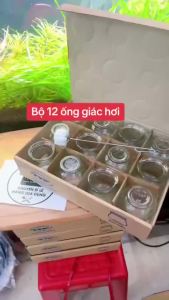 Bộ 12 ống giác hơi - Bộ vắt hơi thuỷ tinh Cao Cấp tiện dụng