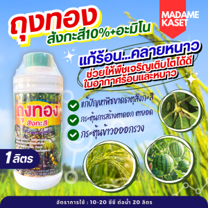 ใหม่ใช้ดี!! ถุงทอง สังกะสี10%+อะมิโน แก้ร้อนคลายหนาวให้พืช เร่งการเติบโต เพิ่มรสชาติ สี สร้างตาดอก ตายอด (1 ลิตร)