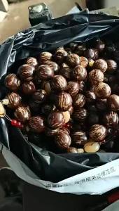 Manufacturer Sells Large Size Bodhi Root Flower Root Ethnic Style Hand Beads Prayer Beads Loose Beads Bulk Discount