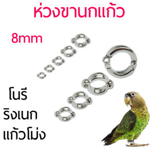8มม ห่วงนก ห่วงเปิดนก ห่วงขานก ห่วงเปิดคล้องขานก โนรี ไคท์ ริงเนก แก้วโม่ง