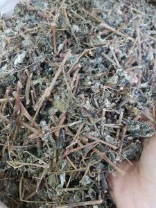 Chè dây cao bằng (1kg) trà dây ủ tuyết cho người viêm loét dạ dày viêm họng mụn nhọt hàng mới thơm phức