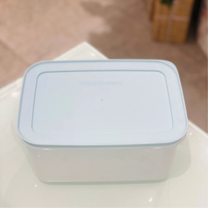 Hộp trữ đông Tupperware nhiều size (01 hộp màu ngẫu nhiên)