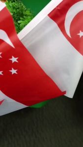 [SG Stock] Wholesale 100PCS Singapore National Day Singapo Flag with Pole 14x21cm/20x28cm Bulk Hand Flag for School Eve