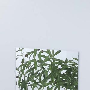 LZD Tiktok Same Style Wall Sticker Mirror Dormitory Simple Full-Length Mirror Shatter-Resistant Acrylic Mirror Floor Mirror for Changing Room