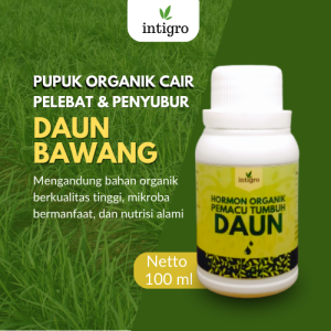Pupuk Penyubur Bawang Daun / Pupuk Pelebat Daun Bawang / Pupuk Booster Untuk Tanaman Bawang Daun