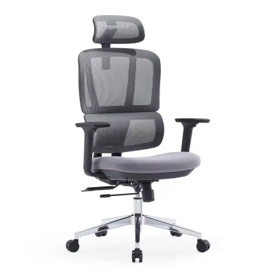 Ergoworks Ergonomic Chair - Truly Comfort Chair With Lumbar Support Breathable Mesh Backrest and Adjustable Seat Depth
