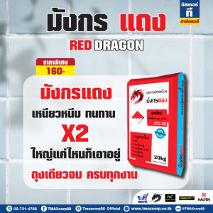 ปูนกาวกระเบื้อง กาวปูกระเบื้อง Red Dragon (มังกรแดง) ขนาด 20 กก.