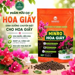 Phân Bón Hoa Giấy Minro 80 OM bao 1kg Vietpot Hữu Cơ Cao Cấp Kích Hoa Dày Hoa Bền Màu Dưỡng Rễ