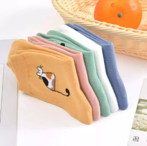 CHAINSHOP 5 Pairs (CATS) Student Girl Summer Thin Breathable Korean College Style Deodorant Socks