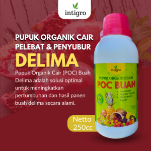 Pupuk Penyubur Buah Delima / Pupuk Delima Booster Obat Anti Rontok Pembesar Pelebat Buah Delima Cair