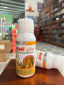 Kali Sữa Nano 500ml - Siêu vô gạo sáng hạt to trái