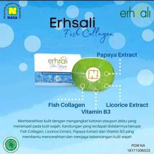 Erhsali Sabun Nasa - Anti Jerawat - Brightening - Flek - Menyegarkan Wajah - 100 % Original / NASA SHOOP