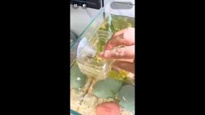 Aquarium Fish Food Pure Natural Floating Fish Food Without Preservatives
