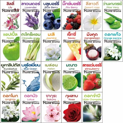 [Home Aroma] ก้านไม้หอม ปรับอากาศ รุ่นใหม่ 15มล. น้ำหอมอโรม่า เลือกกลิ่นได้จาก มี100กลิ่น น้ำมันหอมระเหย