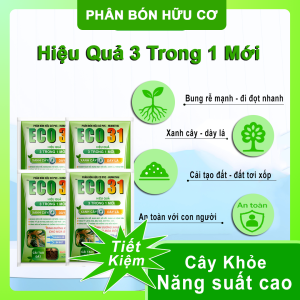 Combo 4 Gói ECO31 1kg – Bung Rễ Mạnh Đi Đọt Nhanh Xanh Cây Dày Lá – Gói 1kg