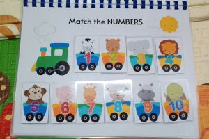 Match the Numbers Interactive Laminated With Velcro Learning Material Activity