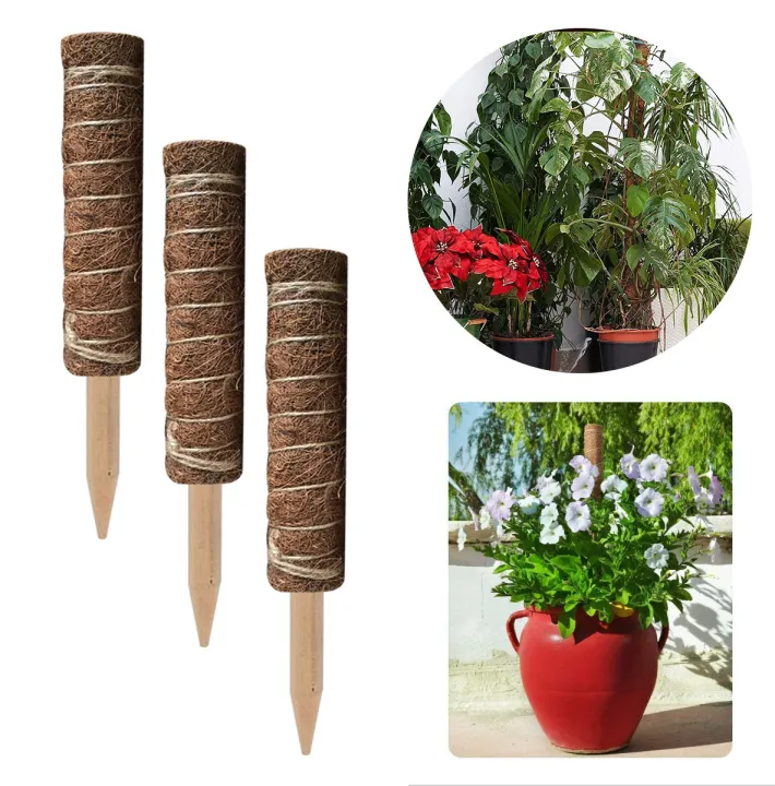 Plant%20Support%20Stick%20Extendable%20Coco%20Stick%20Coco%20Fiber%20Pole%20Climbing%20Plant%20Support%20Batang%20Tiang%20Plant%20Support%20Moss%20Pole%20Coir%20Moss%20Stick%2030/40/50cm%20-%20Image%206