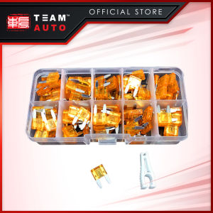 TeamAutoCare TAC6238 100 Pieces Automotive Mini Blade Fuse 5A Replacement Kit with Storage Case and Fuse Puller for Cars Trucks Motorcycles