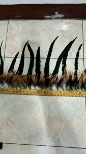 BAJU ADAT PAPUA RUMBAI DEWASA