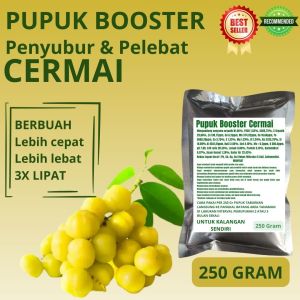 Pupuk Booster Cermai / Obat Booster Buah Cermai / Pupuk Booster Buah Cermai / Pupuk Buah Cermai