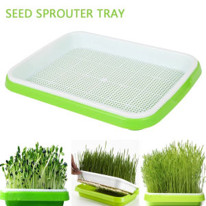 Dream Hunter Seed Sprouter Tray Free PP Soil-Free Large Capacity Healthy Wheatgrass Grower Planting Pot Seading Sprout Plate Hydroponic