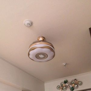 Ceiling Fan LED Light with blue tooth