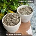 Túi 1Kg - Đá Bọt (Pumice Stone), Đá Pumice để trồng cây chất lượng cao | Độc quyền Family Garden. 
