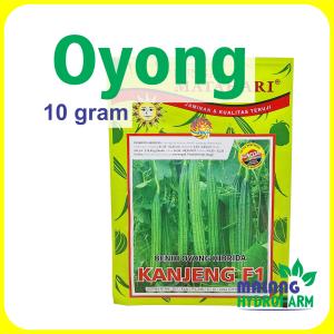 Benih Oyong Kanjeng F1 10 g Cap Bunga Matahari dataran menegah unggul bibit biji sayur bening Gambas hydroponik hidroponik