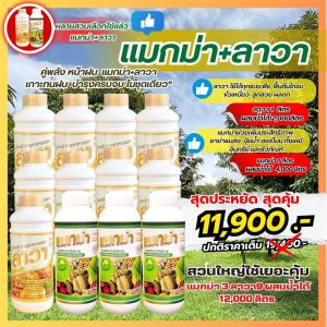 แมกม่าลาวา ยกลัง12ขวด ผสมได้ แมกม่า Maxma 3ขวด ลาวา Lawa 9ขวด ธาตุอาหารหลัก ธาตุอาหารรอง สารเสริมประสิทธิภาพสารเคมีภัณฑ์และสารชีวภัณฑ์ ผสมร่วมกับ ยาเพลี้ย ปุ๋ยน้ำ ฮอร์โมน อินทรีย์ และชีวภัณฑ์