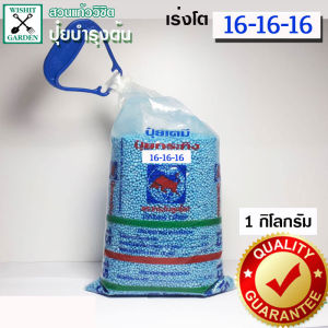 ปุ๋ยใส่ต้นไม้ สูตร 16-16-16 1ถุงบรรจุ 1 กิโลกรัม เป็นปุ๋ยที่มีสารอาหารครบถ้วน ประกอบด้วยไนโตรเจน ฟอสฟอรัส โปรตัสเซี่ยม