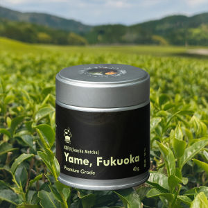 SOFUTO CREAM | ผงมัทฉะญี่ปุ่นแท้ เกรดพรีเมียม โคฟุ เซนฉะมัทฉะ เมืองยาเมะ (Kofu Sencha Matcha - Yame)