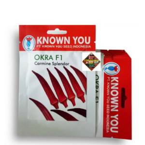 Benih Bibit Okra Merah F1 Carmine Splendor Known You Seed - KYS OKRA MERAH F1 CARMINE SPLENDOR