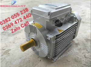 Motor 15kw 1400 vòng/ phút chạy điện 220v