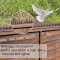 Alat duri pengusir kucing Anjing / Paku anti kucing Plastik Anti Kucing paku Anti burung Merpati Wall Spike Anti-Climbing Spike Wall Anti Maling Panjat Tembok Pagar Kawat Duri Garden Pest Repeller Pigeon Cat Deterrent Garden Security Deterrent Tool. 