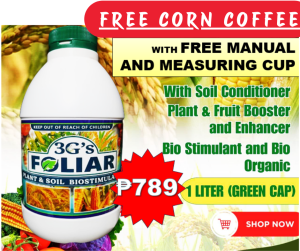 3GS SUPER FOLIAR (JAPAN TECHNOLOGY)   SOIL & PLANT ADJUVANT BIO-STIMULANT LIQUID BIO-FERTILIZER