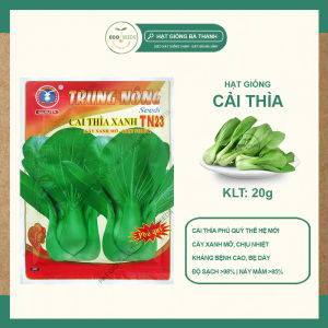 [EcoSeeds] Combo 2 Gói Hạt Giống Cải Thìa Xanh (Cải Chíp) - Giống Phú Quý Chịu Nhiệt - Gói 20g