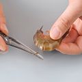 Prawn Shell Removal Crawfish Quick Tool Shrimp Removal Line Transparent Durable Portable Lightweight Kitchen Tool Alat Dapur Kulit Udang剥虾神器. 