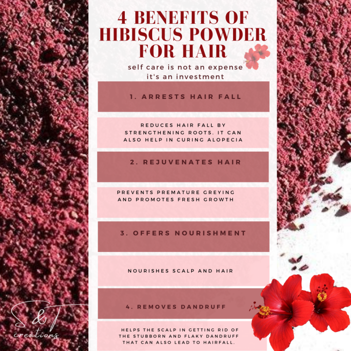 Bunga Raya Pudding Powder 100% Pure Organic Hibiscus Powder (20g / 30g / 50g) | Bunga Raya ...
