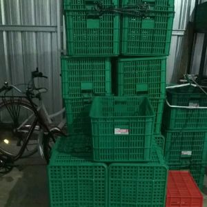 Keranjang alat sortir lele alumunium Bak Sortir Ikan Lele konsumsi 60cmx40cm