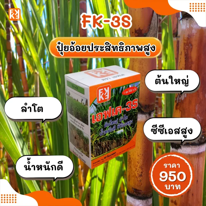 %E0%B8%9B%E0%B8%B8%E0%B9%8B%E0%B8%A2%E0%B8%99%E0%B9%89%E0%B8%B3%20FK-3S%20%E0%B8%AA%E0%B8%B3%E0%B8%AB%E0%B8%A3%E0%B8%B1%E0%B8%9A%20%E0%B8%AD%E0%B9%89%E0%B8%AD%E0%B8%A2%20%E0%B8%95%E0%B9%89%E0%B8%99%E0%B9%83%E0%B8%AB%E0%B8%8D%E0%B9%88%20%E0%B8%A5%E0%B8%B3%E0%B9%82%E0%B8%95%20%E0%B9%80%E0%B8%A3%E0%B9%88%E0%B8%87%20CSS%20%E0%B9%80%E0%B8%9E%E0%B8%B4%E0%B9%88%E0%B8%A1%E0%B8%99%E0%B9%89%E0%B8%B3%E0%B8%AB%E0%B8%99%E0%B8%B1%E0%B8%81%20%E0%B9%84%E0%B8%94%E0%B9%89%E0%B8%99%E0%B9%89%E0%B8%B3%E0%B8%AB%E0%B8%99%E0%B8%B1%E0%B8%81%E0%B8%94%E0%B8%B5%20%E0%B8%97%E0%B8%94%E0%B9%81%E0%B8%97%E0%B8%99%E0%B8%9B%E0%B8%B8%E0%B9%8B%E0%B8%A2%E0%B9%80%E0%B8%A1%E0%B9%87%E0%B8%94%20%E0%B8%A5%E0%B8%94%E0%B8%95%E0%B9%89%E0%B8%99%E0%B8%97%E0%B8%B8%E0%B8%99%20%E0%B9%80%E0%B8%9E%E0%B8%B4%E0%B9%88%E0%B8%A1%E0%B8%9C%E0%B8%A5%E0%B8%9C%E0%B8%A5%E0%B8%B4%E0%B8%95%20%E0%B9%82%E0%B8%94%E0%B8%A2%20FK%20-%20Image%205