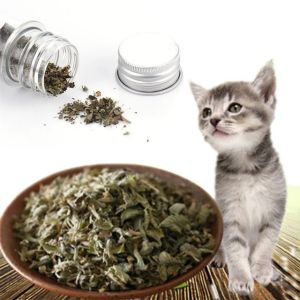 45ml Natural Organic Premium Toy Cat Mint Grass Menthol