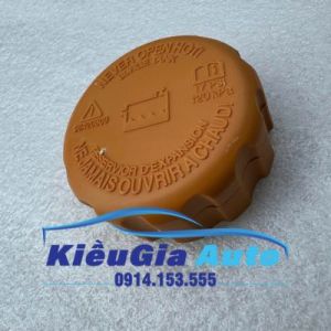 Nắp bình nước phụ Daewoo Cielo 96420303