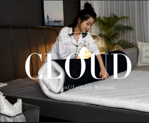 Foldable Cotton Anti Mite and Antibacterial Mattress Pad Single/Super Single/Twin/Queen/King Foldable Bed