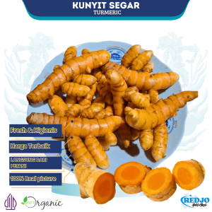 Kunyit kunir fresh 1Kg Cuci Bersih Baru Panen Rempah Herbal Bumbu Dapur JSR 100% Premium Quality