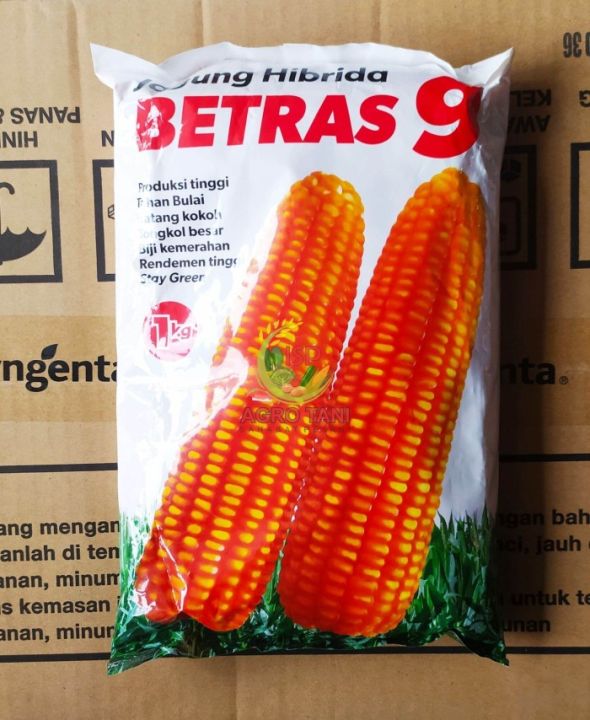 Benih Jagung Hibrida BETRAS 9 Kemasan 1 Kg -bintang Asia | Lazada Indonesia