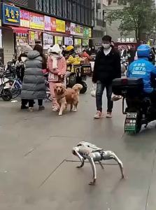 FCJIQI AI Intelligent Remote Control Robot Dog 3 Remote