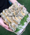 TAHU ACI KHAS TEGAL GORENG SETENGAH MATENG VACUUM PLETOK. 