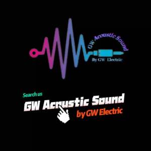 Black Spider BSP120 12" Professional Portable Speaker