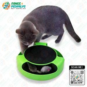 Catch-the-Mouse Interactive Cat Toy